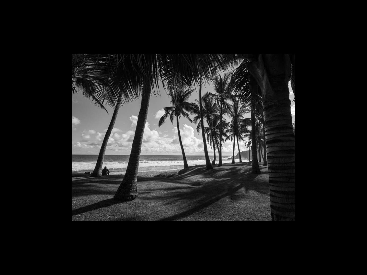 Distribution De Colin En Noir Et Blanc Quiz photo - Plage en noir et blanc - Mer : Geo.fr
